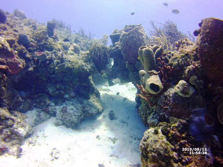 Amigos Hostel Cozumel