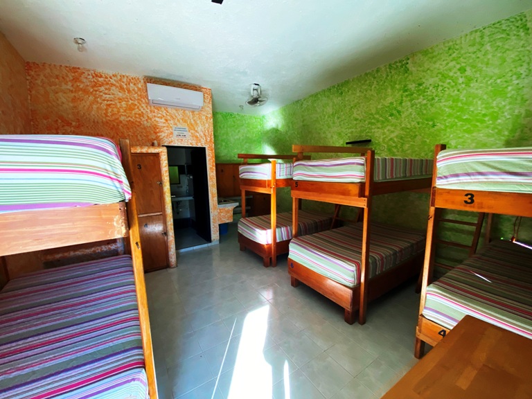  nopal dorm room Amigos Hostel Cozumel